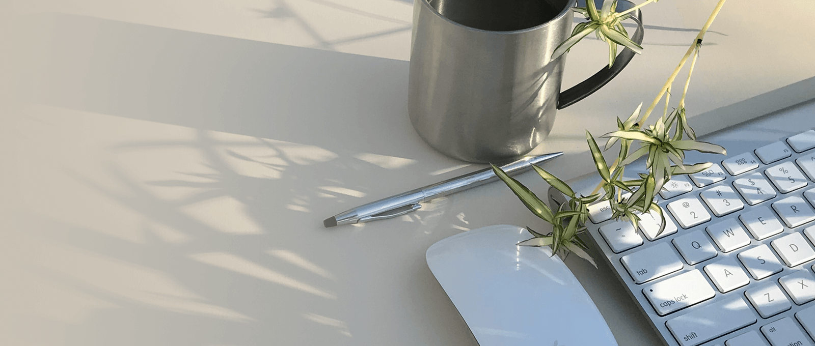 Keyboard, mouse, watch and silver pen in a morning sunrise setting