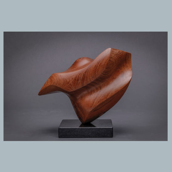 Untitled 5, Algarrobo (Carob Tree), 20 x 20 x 15 cms
2017