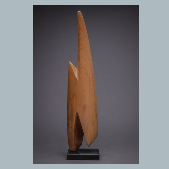 Untitled 8, Cedro Azul (Blue Cedar), 64 x 16 x 13 cms
2020