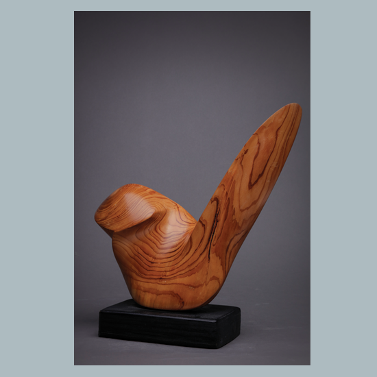 Pipi, Cedro Azul (Blue Cedar), 40 x 23 x 15 cms, 2014